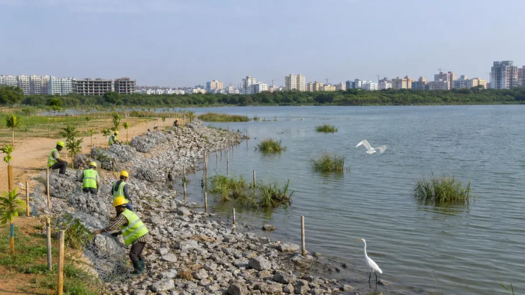 Kapra Lake Restoration Focuses on Flood Storage and Biodiversity in Hyderabad