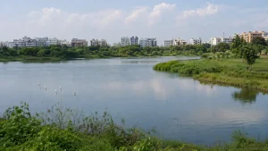 Kapra Lake Restoration in Kapra